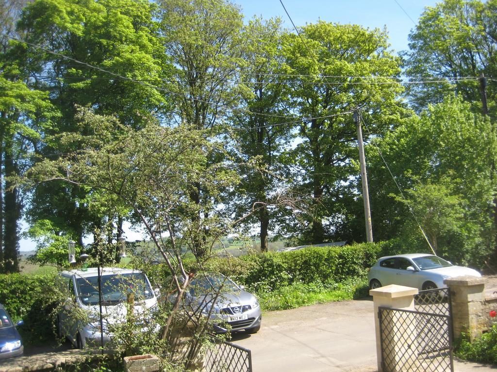 Prospect Cottage บ็อกซ์ ภายนอก รูปภาพ